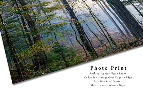 Снимка на гората, Принт (без рамка), Изображението на дървета в мъглата на есенното сутрин в национален парк Грейт Смоуки Маунтинс,