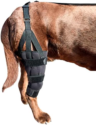 Бандаж за фиксация на колянната става Labra Dog Кучешки, Метална Шина, Шарнирный Гъвкав Поддържащ Бандаж за K9 ACL, CCL, Вывихнутой Патела, Стречинг Крестообразных сухожили