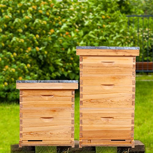 Пчелен кошер на 10 Кадъра Пълен комплект за кошерите, Пчелните кошери включват 1 Дълбок пчелен кутия, 1 Пчелен кошер Супер с рамки