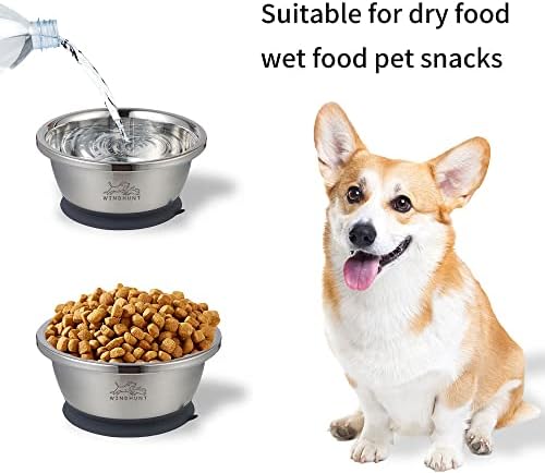 windhunt Купички за кучета от неръждаема стомана контейнер за храна за домашни любимци, за Хранене на малки, Средни, Големи Котки,