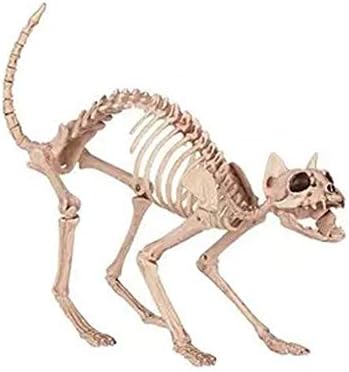 Маскарадните Украса за Хелоуин QYER, Скелет на Котка с Ужасно Украса за Хелоуин декорация за Хелоуин, Пластмасови Кости на
