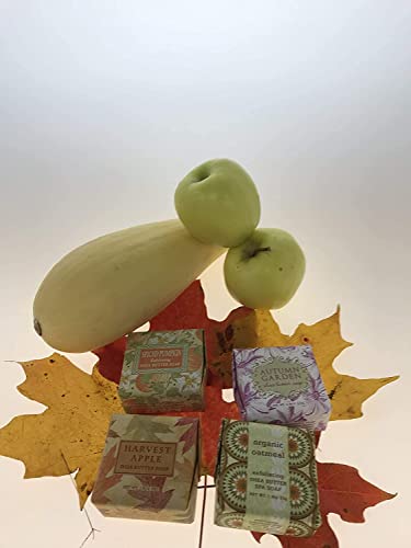 Пробник сапун Earth Essence - Подаръчен комплект от 4 аромати (Ябълка на реколтата, Тиква с подправки, Есен градина и Органични