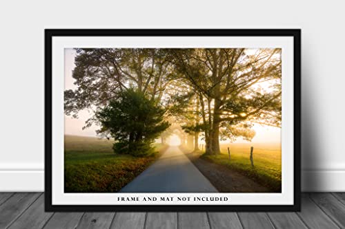 Етеричните фотография, Принт (без рамка), Картина на пътя, водещ през дърветата, в Мъгла Слънчева светлина в Cades Cove в Грейт