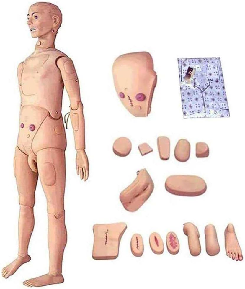 NIHE Анатомическая модел на Човека Многофункционален Симулатор на Грижите за пациентите, Мъжки и Женски Манекен за обучение на медицински