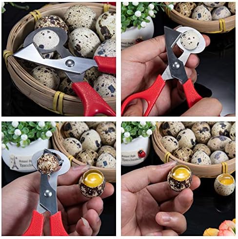 Ножици за рязане на пъдпъдъчи яйца, Кухненски Ножица - за гълъби от неръждаема стомана (опаковка от 4 броя)